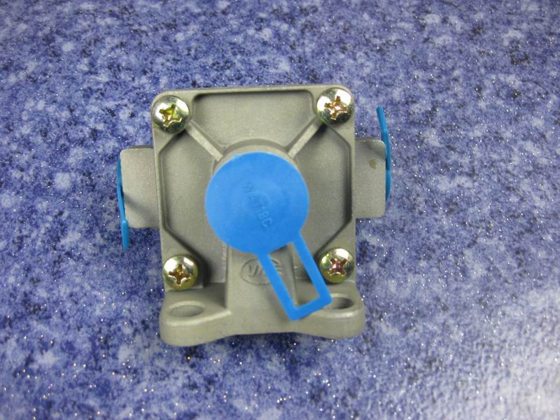 Quick release valve-1