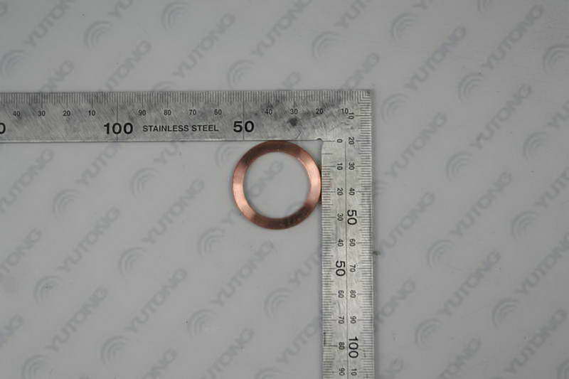 Sealing gasket M26