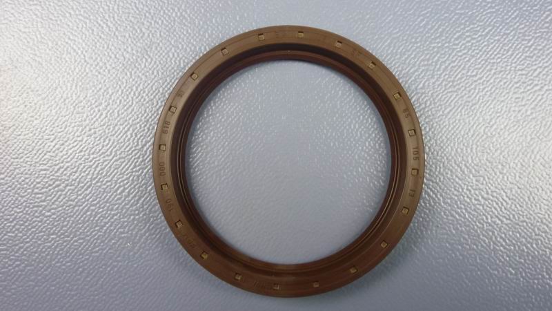 Shaft seal ring
