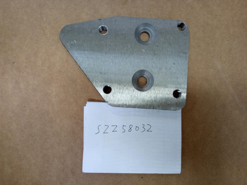 Lower pole plate-2