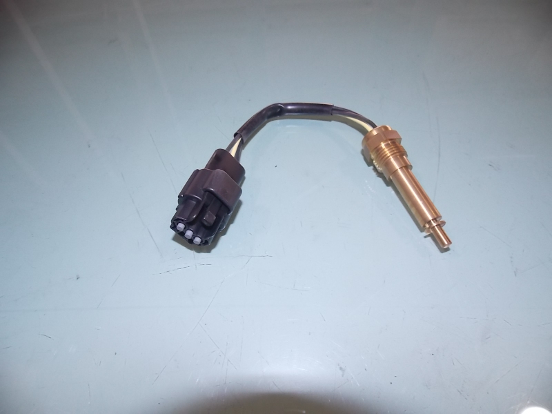 Water temperature sensing plug 6HE1