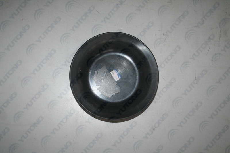 Rear brake membrane-1