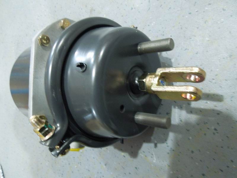 Rear brake air chamber assembly - left; 20