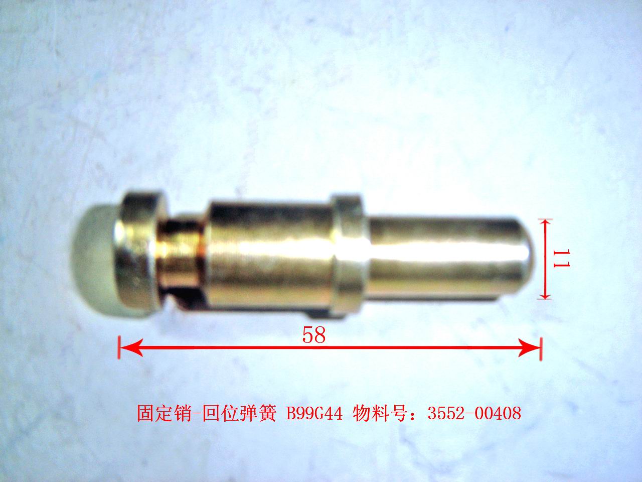 Fixed pin-brake spring