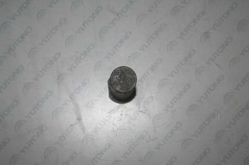 Brake shoe roller shaft