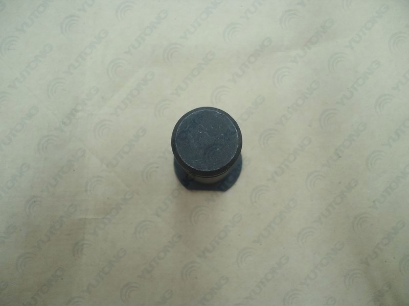 制动蹄滚轮轴-1