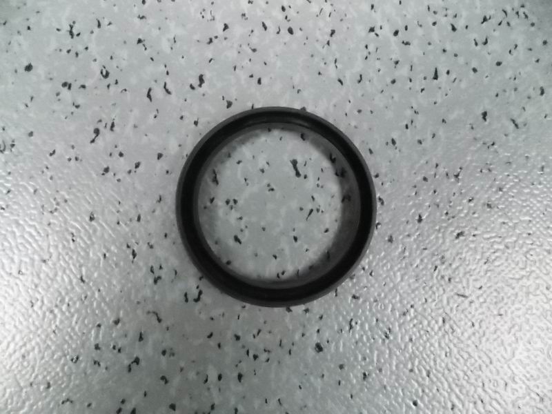 Rear brake camshaft oil seal