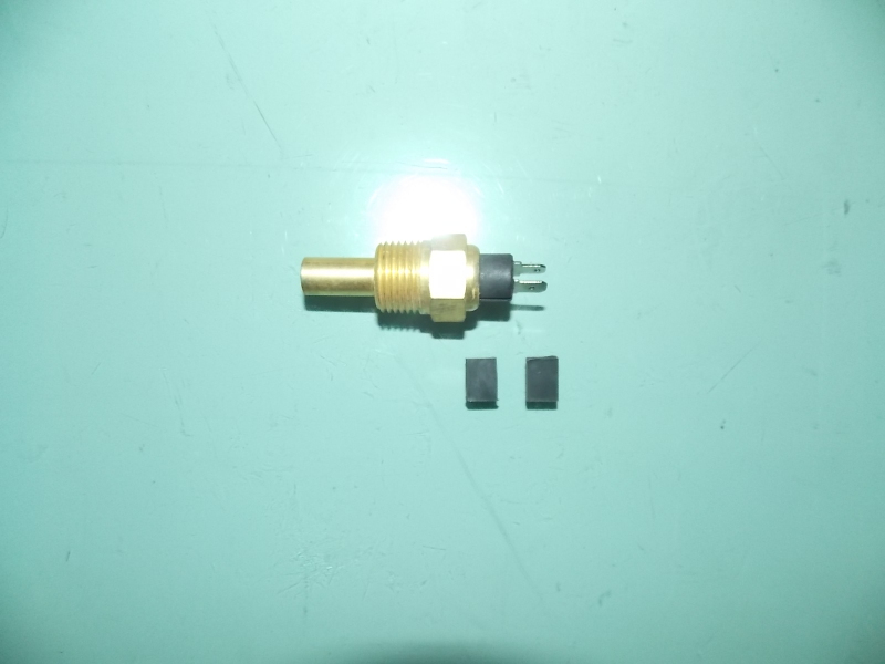 Water temperature sensing plug