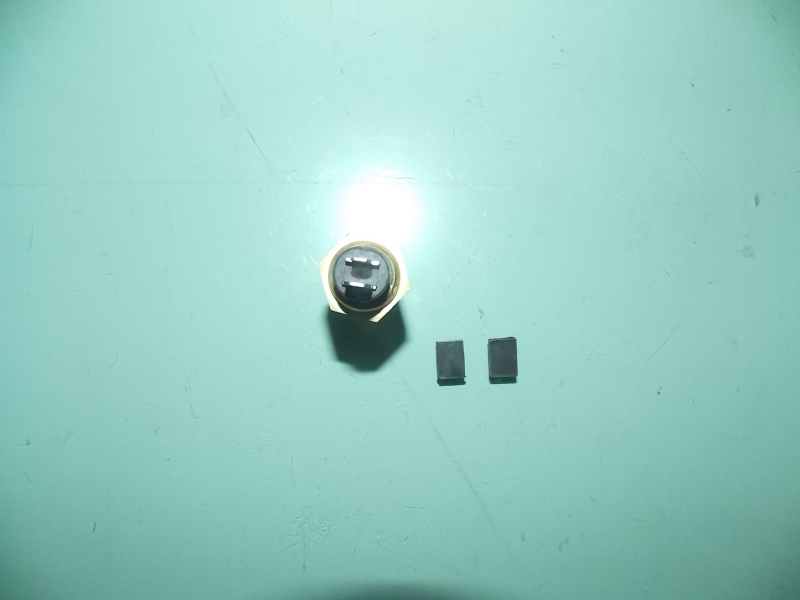 Water temperature sensing plug-1