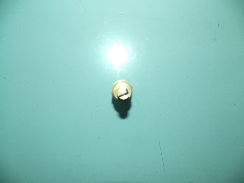 Water temperature sensing plug-2