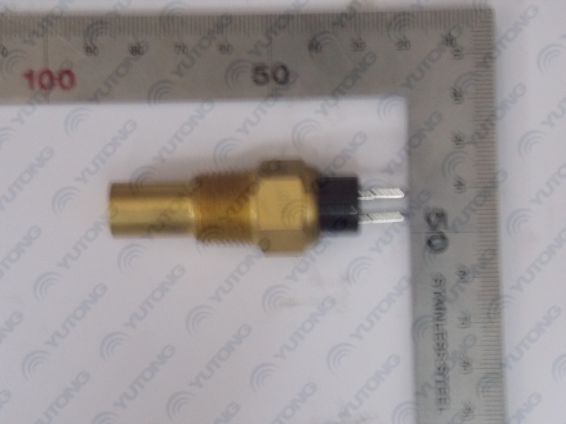 Water temperature sensing plug