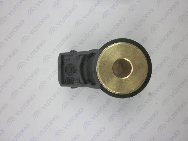 Detonation sensor-1