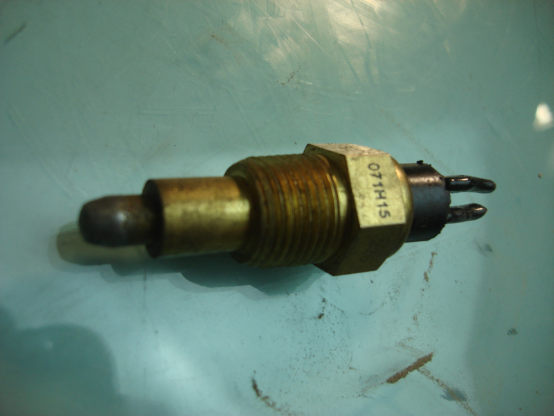 Water temperature sensing plug-1