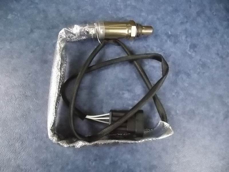 Oxygen sensor