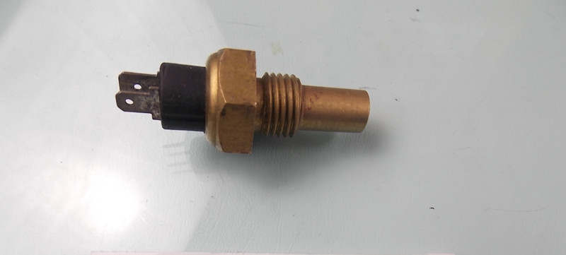 D Water temperature sensor; LBC