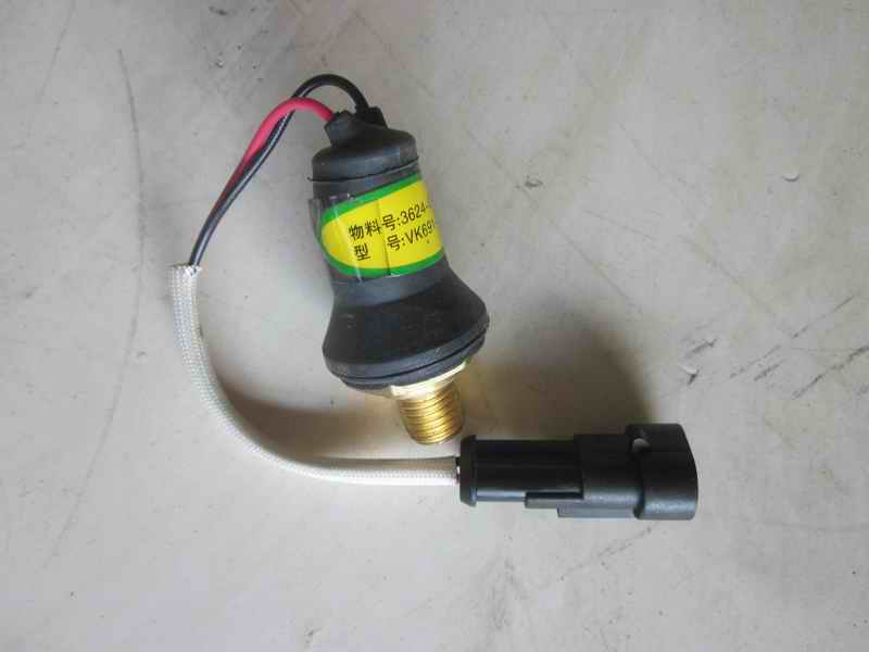 D Handbrake alarm switch VK691-5512M2 (2A sterling silver contact)-1