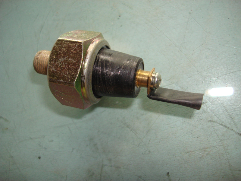Oil sensing plug