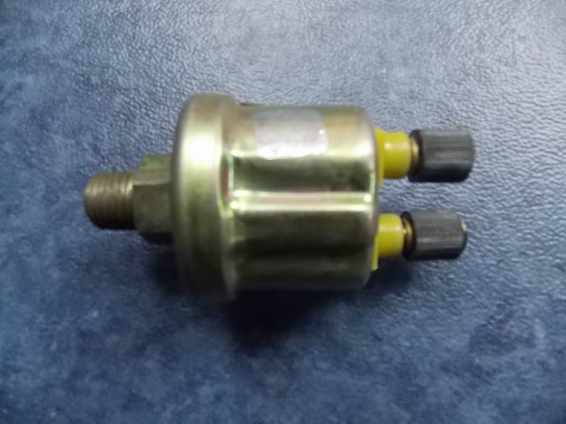 Oil sensing plug