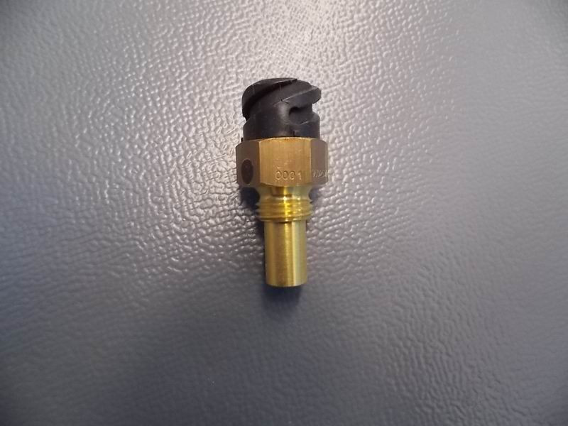 Water temperature sensing plug