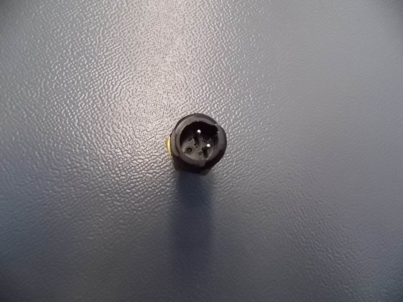 Water temperature sensing plug-1