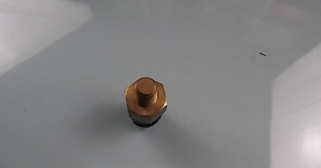 Water temperature sensing plug