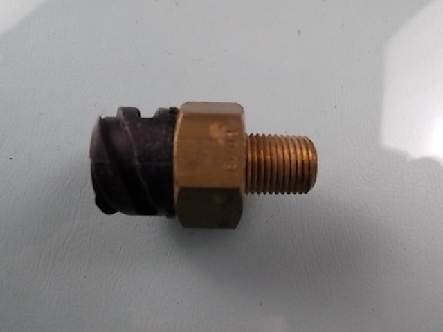 Water temperature sensing plug-1