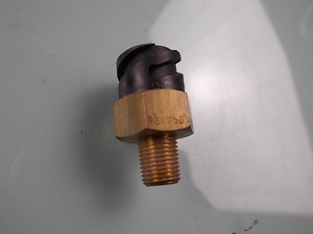 Water temperature sensing plug-2