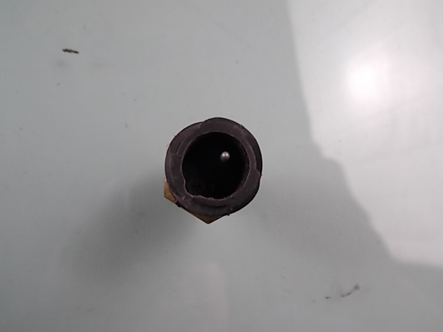 Water temperature sensing plug-3