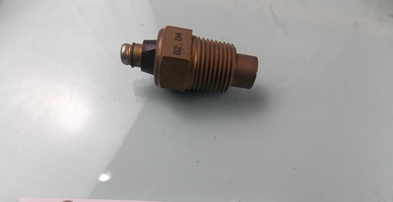 Water temperature sensing plug