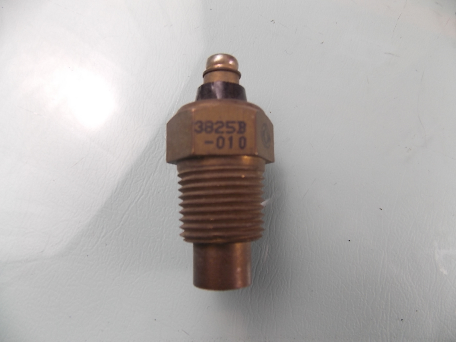 Water temperature sensing plug-1