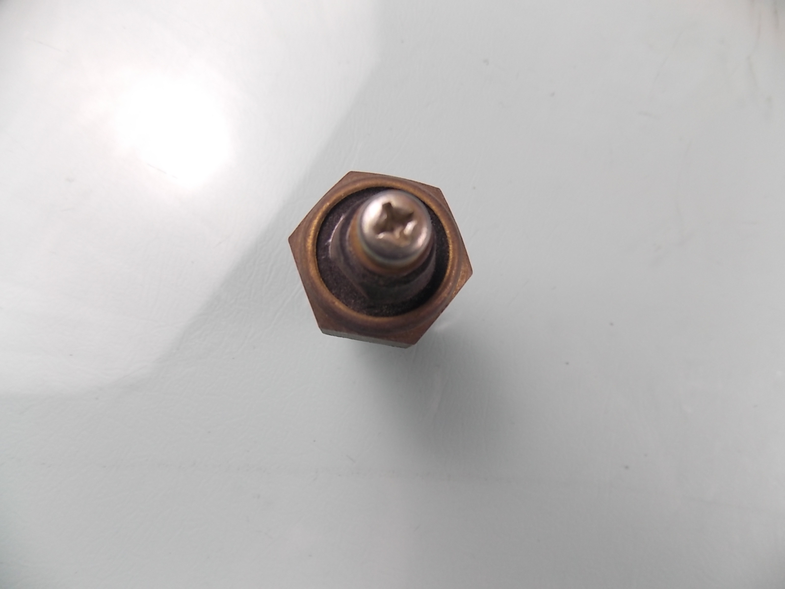 Water temperature sensing plug-5