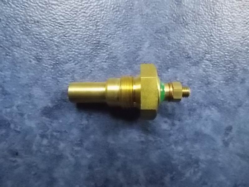 D Water temperature sensing plug