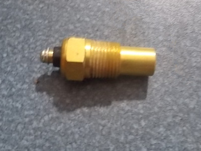 Water temperature sensing plug