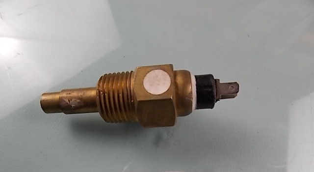 Water temperature sensing plug