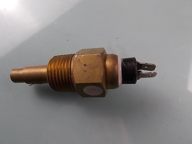 Water temperature sensing plug-1