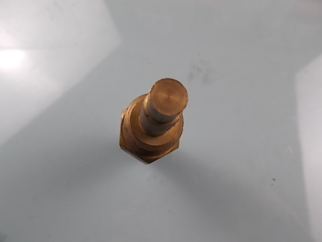 Water temperature sensing plug-3