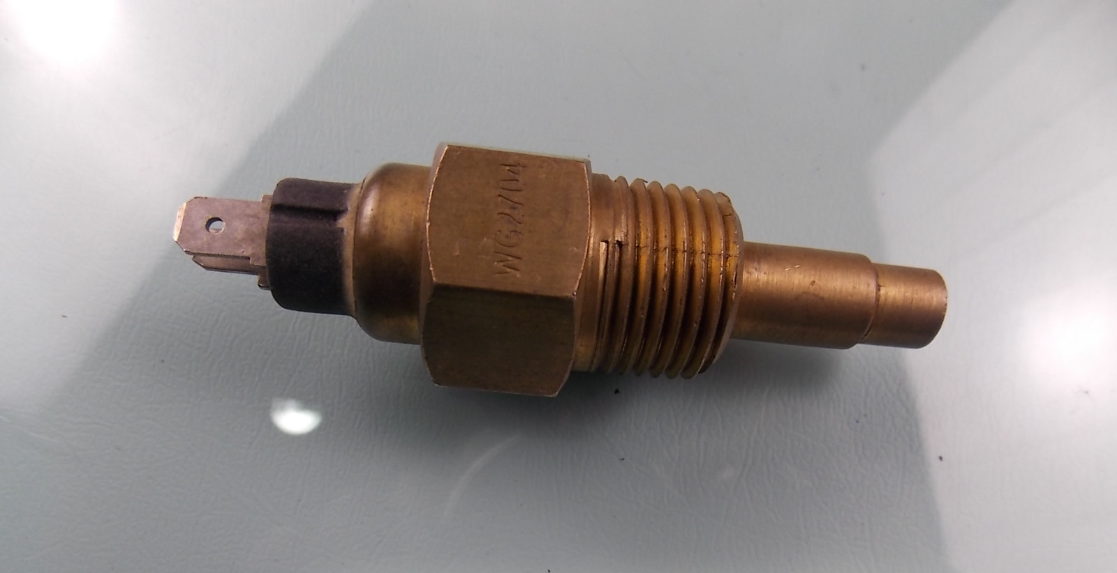 Заглушка датчика температуры воды WG 2704