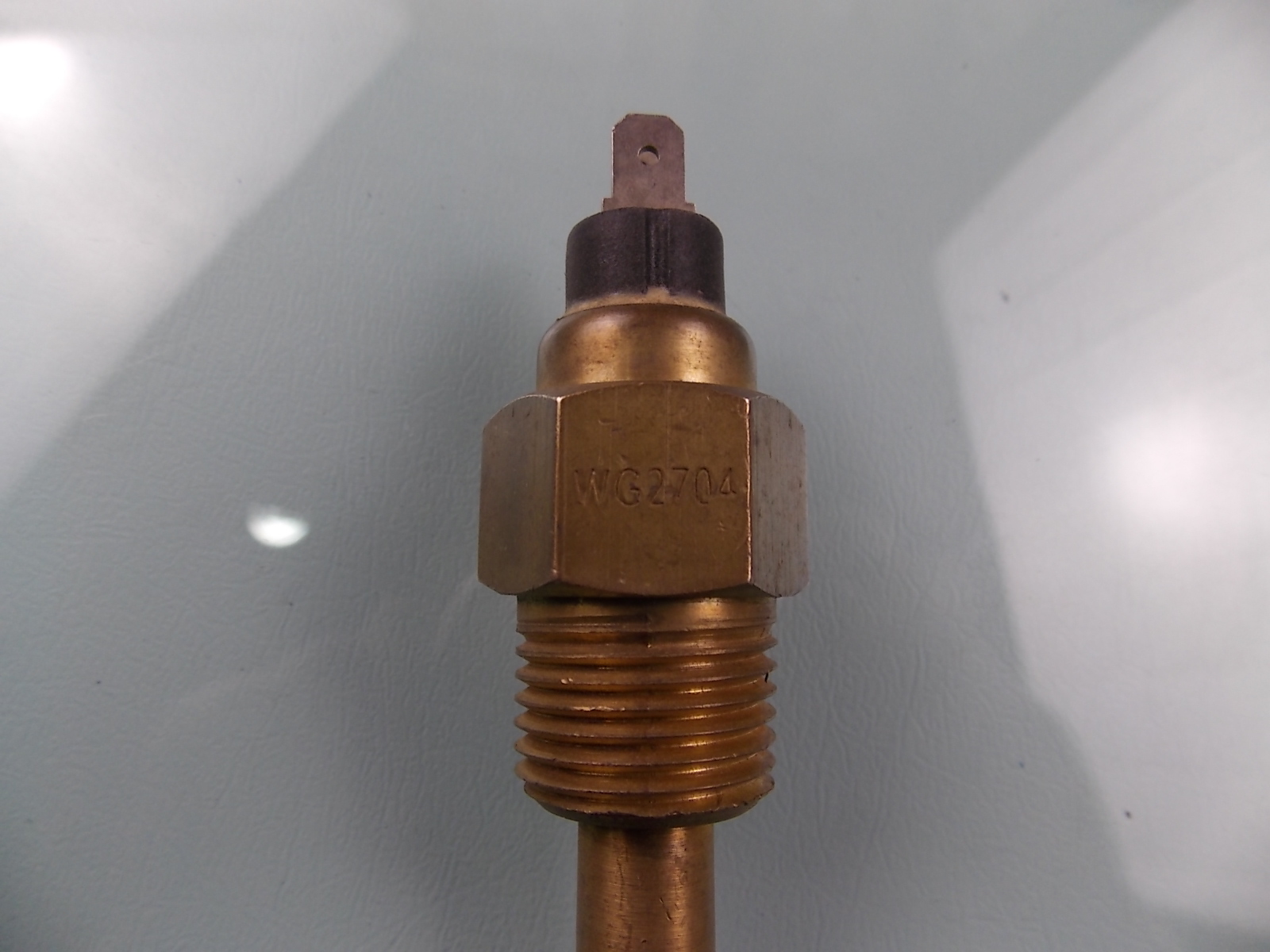 Water temperature sensing plug WG2704-1