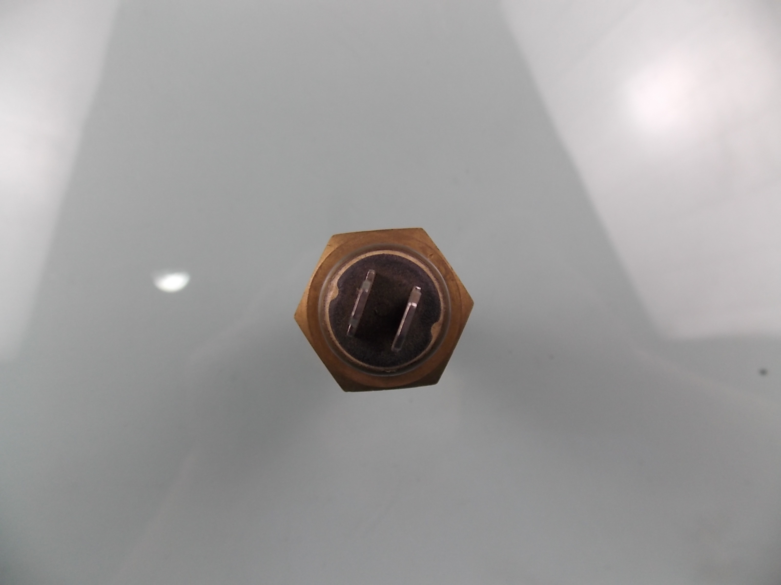 Water temperature sensing plug WG2704-2