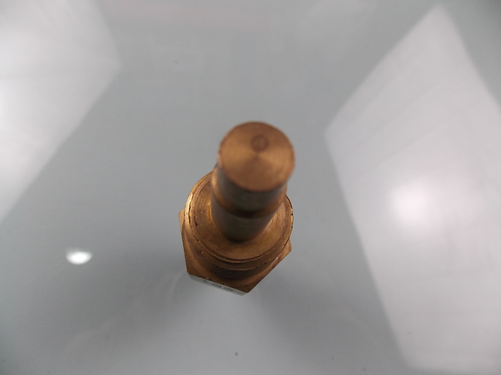 Water temperature sensing plug WG2704-3