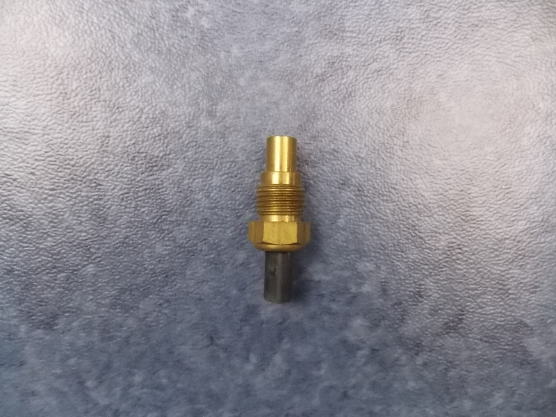 Water temperature sensing plug