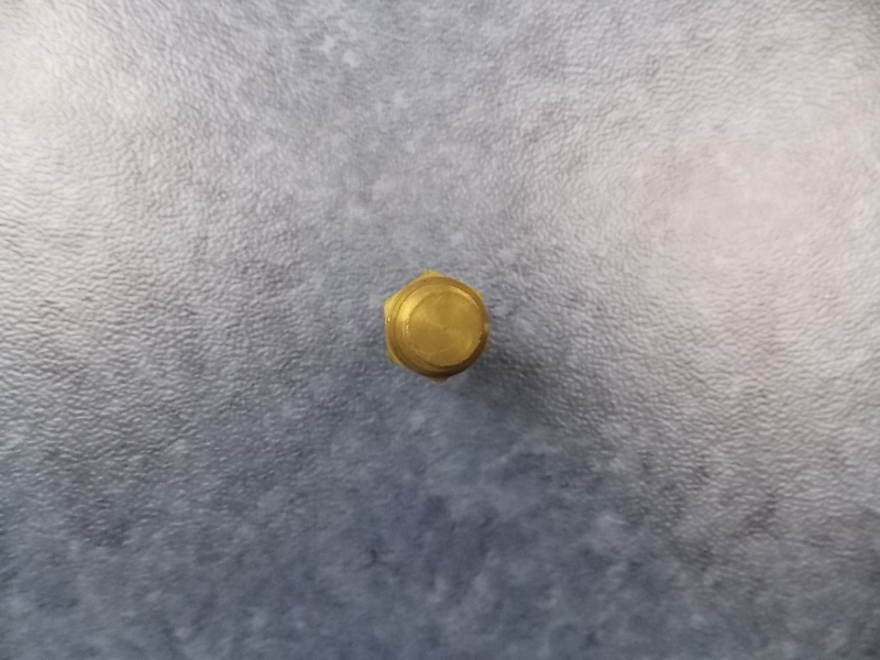 Water temperature sensing plug-1