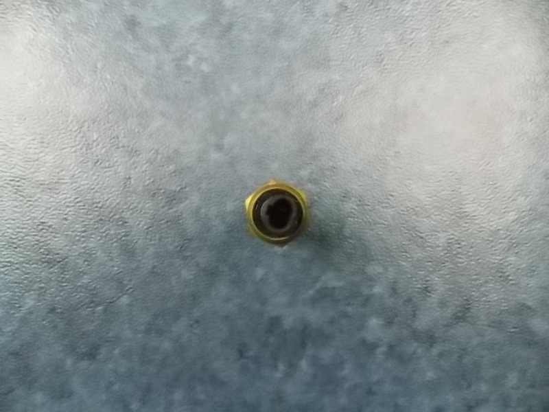 Water temperature sensing plug-2