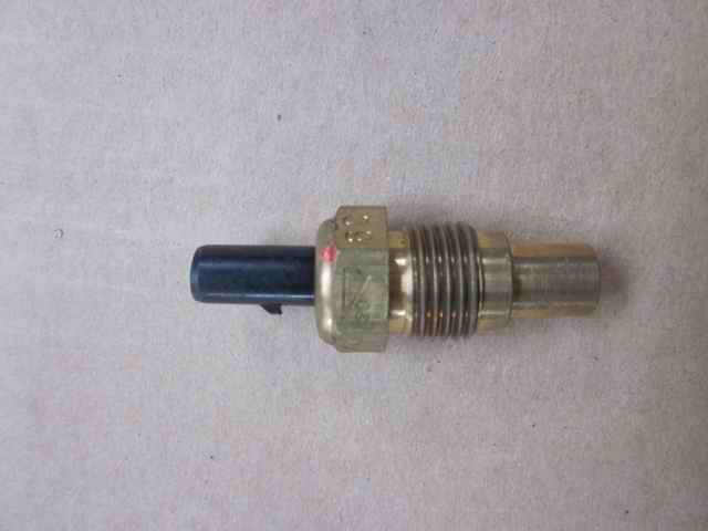 Water temperature sensing plug