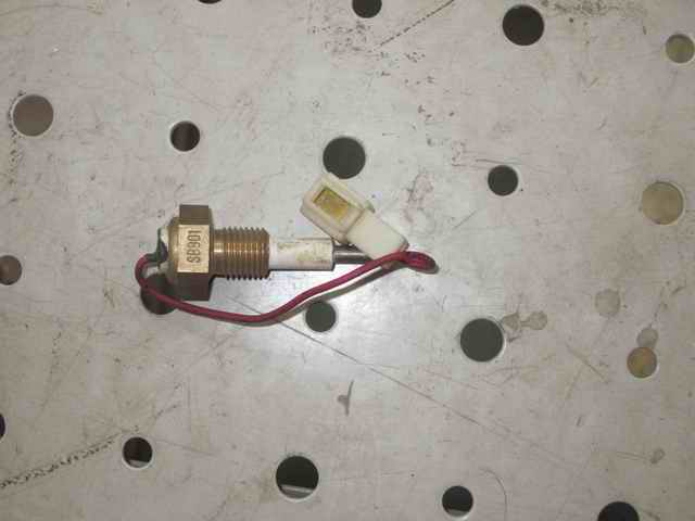 Water level sensing plug