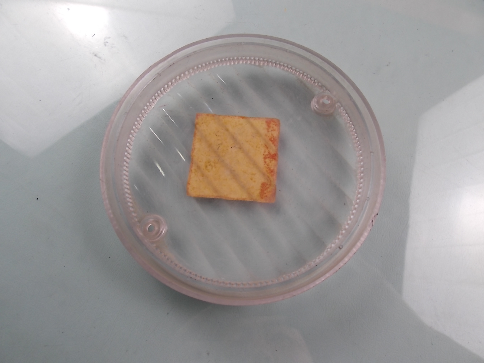 WGH360.130 Reverse Light Shade ZK6862D-1