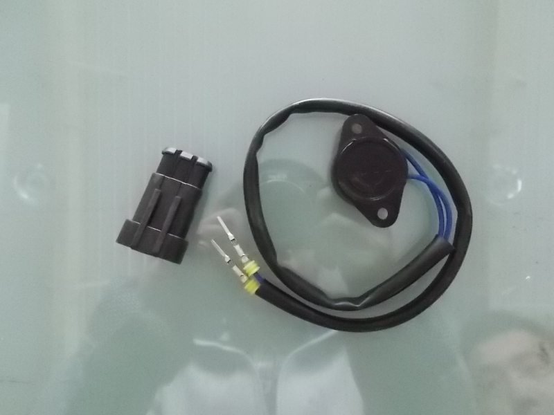 Бесконтактный переключатель, ДК 209-1 , защитная дверь, 10mm , 3 провода