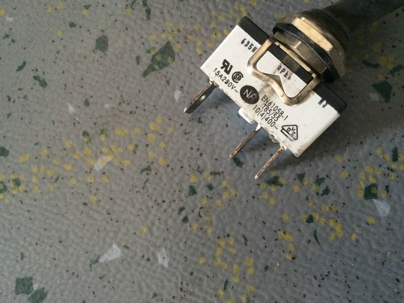 Two-speed self-resetting shaker switch-1