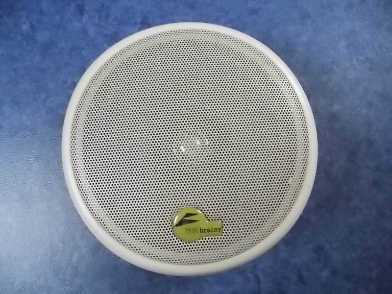 D speaker 6 inch 8 euros-1