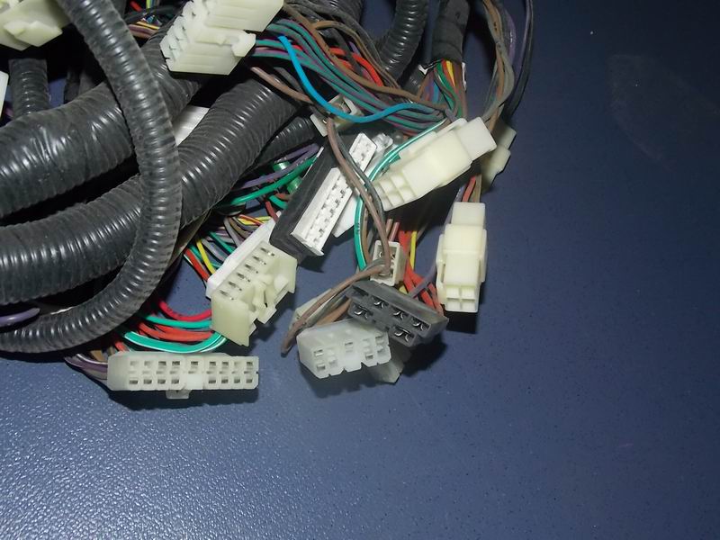 D 6118HGA main wire harness (Guangzhou FAW LPG engine)